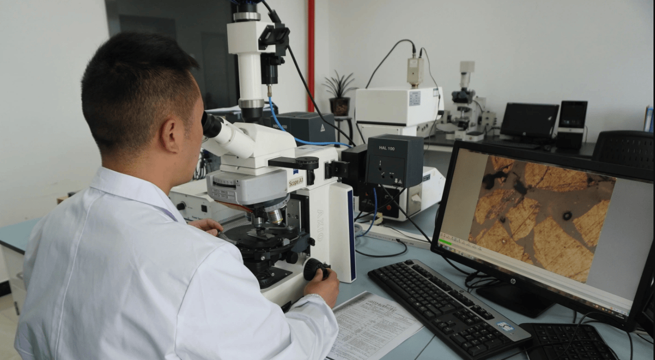 样品采集与参数化分析